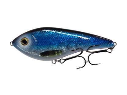 Westin Swim Limited Editions