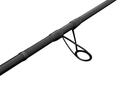 Savage Gear Revenge SG2 Heavy Game 2.59m 30-80g