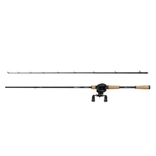 Abu Garcia MAX PIKE Casting Combo