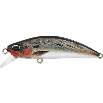 Duo Ryuki Spearhead 50S