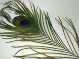 Veniard Peacock Eye Top