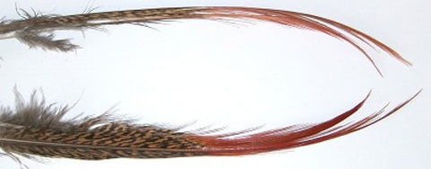 Veniard Golden Pheasant Red Spears