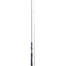 Iron Claw Shad M Pro 2.45meter 12 to 36gram