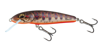 Salmo Minnow Crank Bait 6cm floating
