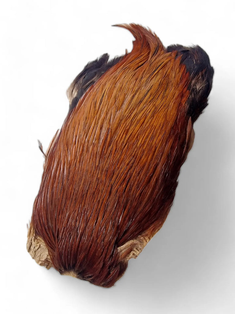 Veniard Indian Cock Cape