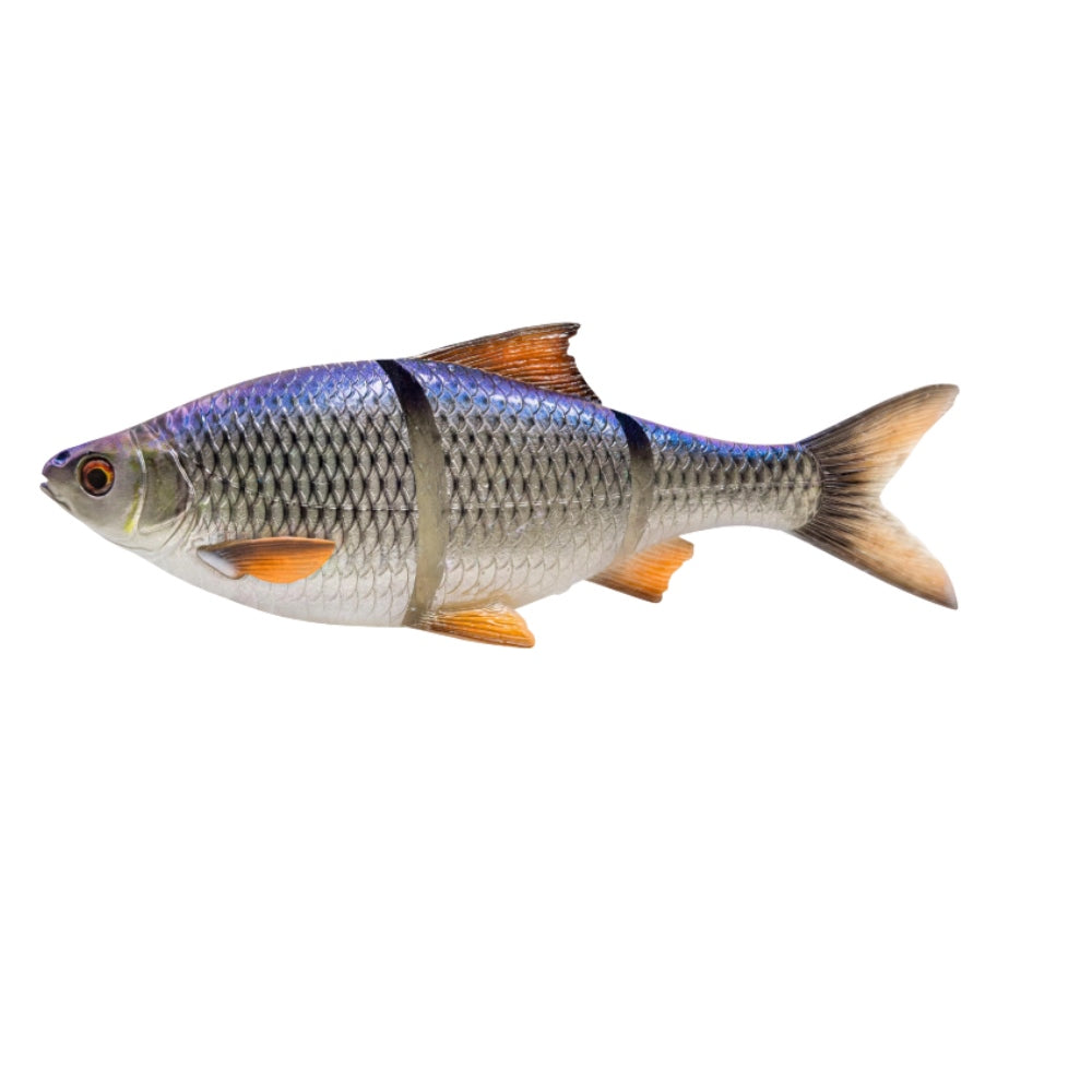 blue_roach_1e8376dd-cdd2-4dae-