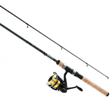 Daiwa D Shock Spin Combo 8foot