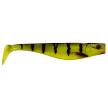Illex Dexter Shad 25cm
