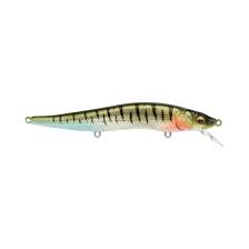 Megabass Vision OneTen FW