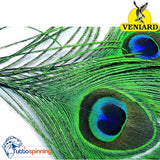 Veniard Peacock Eye Top