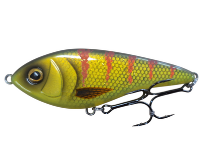 Westin Swim Limited Editions