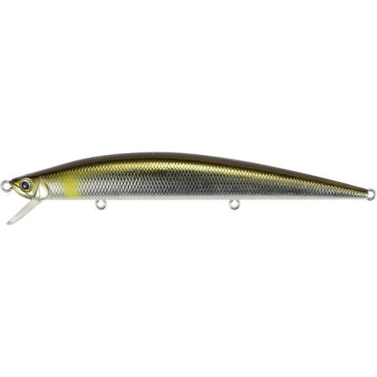 Duo Tide Minnow Slim 120
