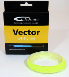 A Jensen Vector Intermediate Fly Line
