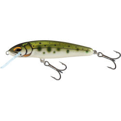 Salmo Minnow Crank Bait 6cm sinking