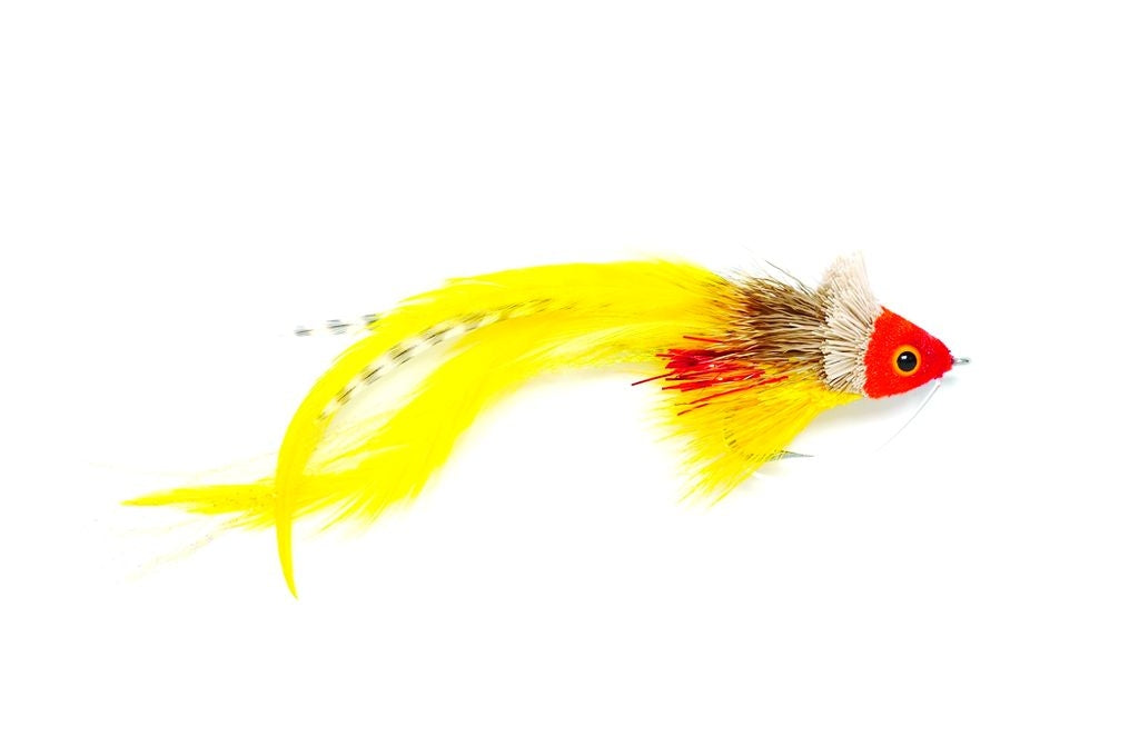 Fulling Mill Swimming Red Yellow Fly