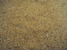 Crumb 20KG Brown
