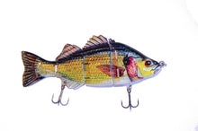 Shamrock Tackle Bass Swimbait