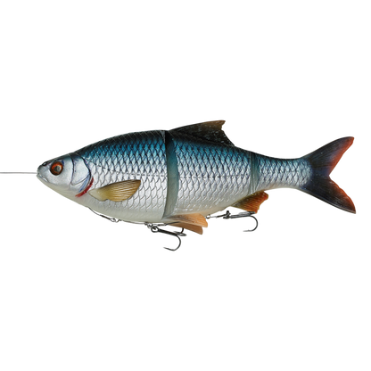 savage gear line thru roach 25cm Savage Gear 4d Line Thru Roach 25cm – Fishing Tackle Ireland