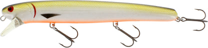 Westin Jatte 23cm