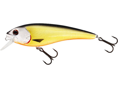 Westin Rawbite 17cm