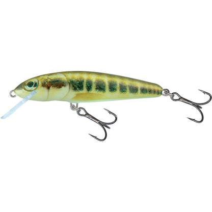 Salmo Minnow Crank Bait 7cm floating