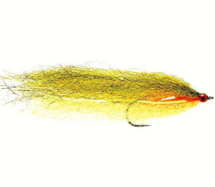 Fulling Mill BC Roach Pike Fly